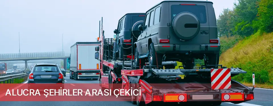 Alucra İlçemi Şehirler Arası Çekici